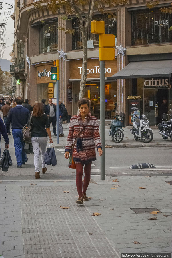 Там, где мандарины растут Барселона, Испания