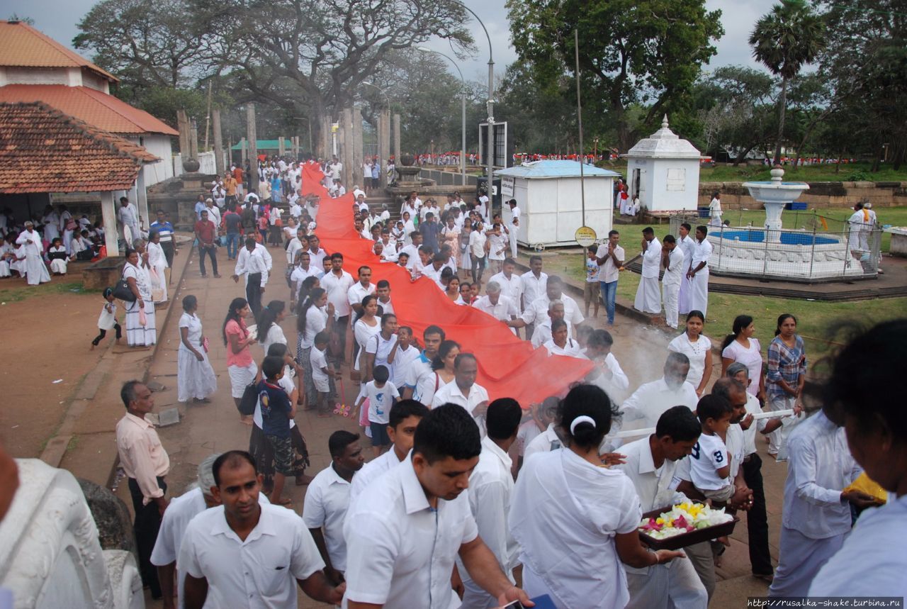 Праздник у Руанвелиссии Анурадхапура, Шри-Ланка