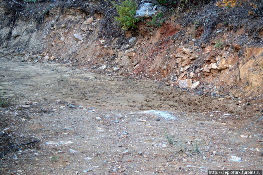 Грязевая купалка — характерна для кабана. Алания, Турция