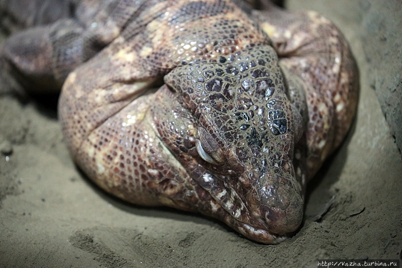 Зоопарк Буэнос-Айреса Буэнос-Айрес, Аргентина
