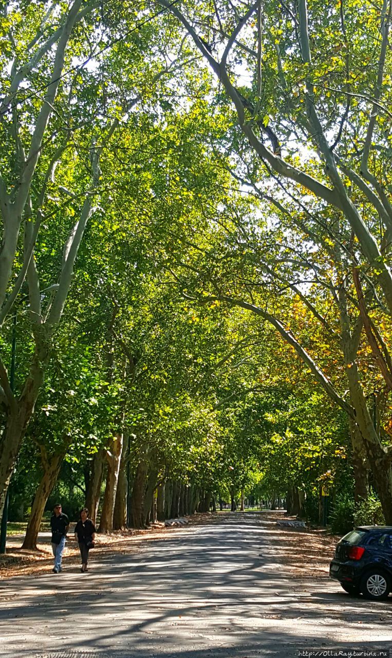 Попали и в одно из любимы Попали и в одно из любимы