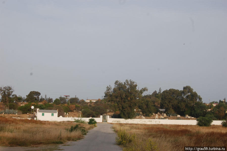 Мусульманское кладбище за городом Ларнака, Кипр
