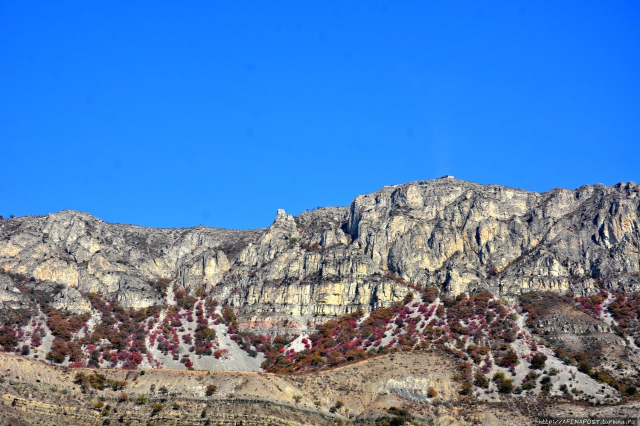 На катере по Сулакскому каньону с ветерком и 