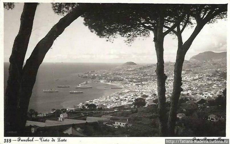 Старая Мадейра Регион Мадейра, Португалия