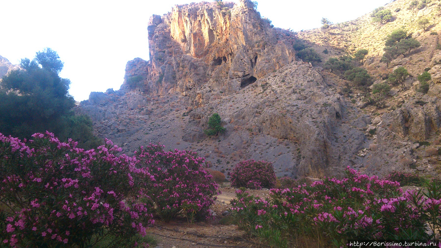 Сначала там было много цветов... Остров Крит, Греция