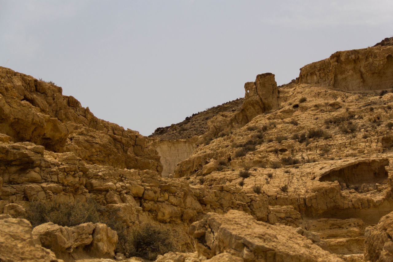 пустыня Негев. Гев Ямин Негев Пустыня, Израиль