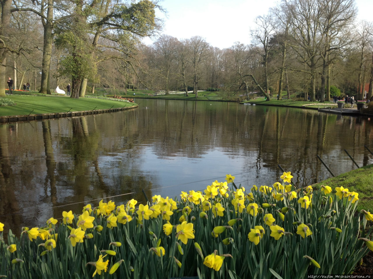 Парк Кекенхоф расположен на 32 гектарах, в нем есть не только тюльпаны, но и гиацинты, нарциссы и другие весенние цветы. Кёкенхоф, Нидерланды