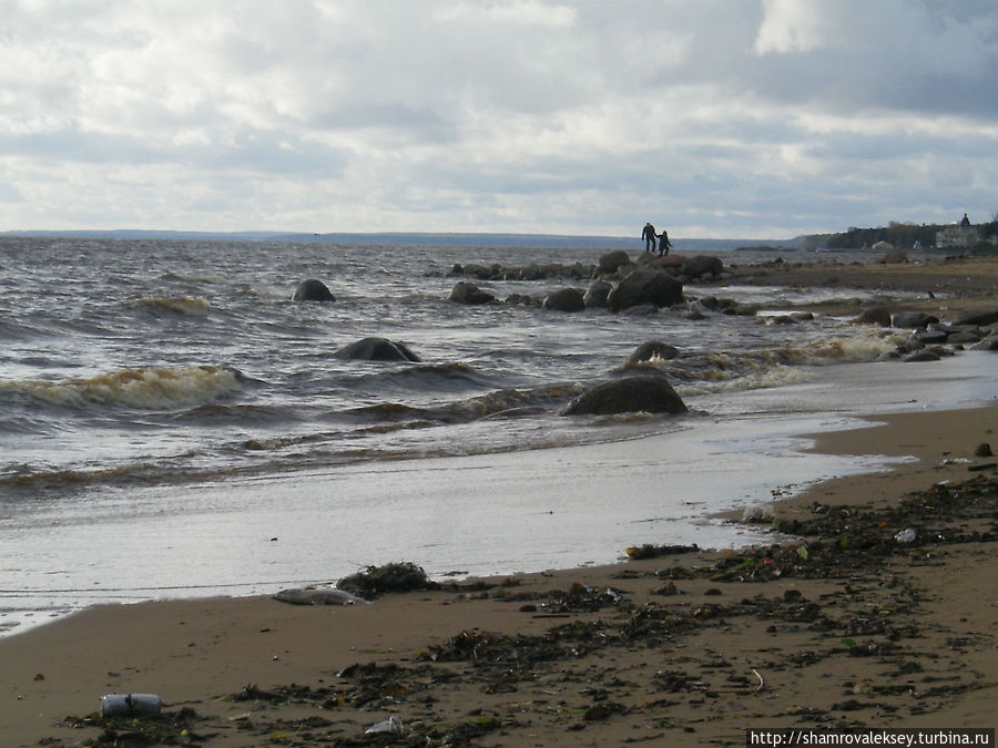 Вдоль берега моря Зеленогорск, Россия