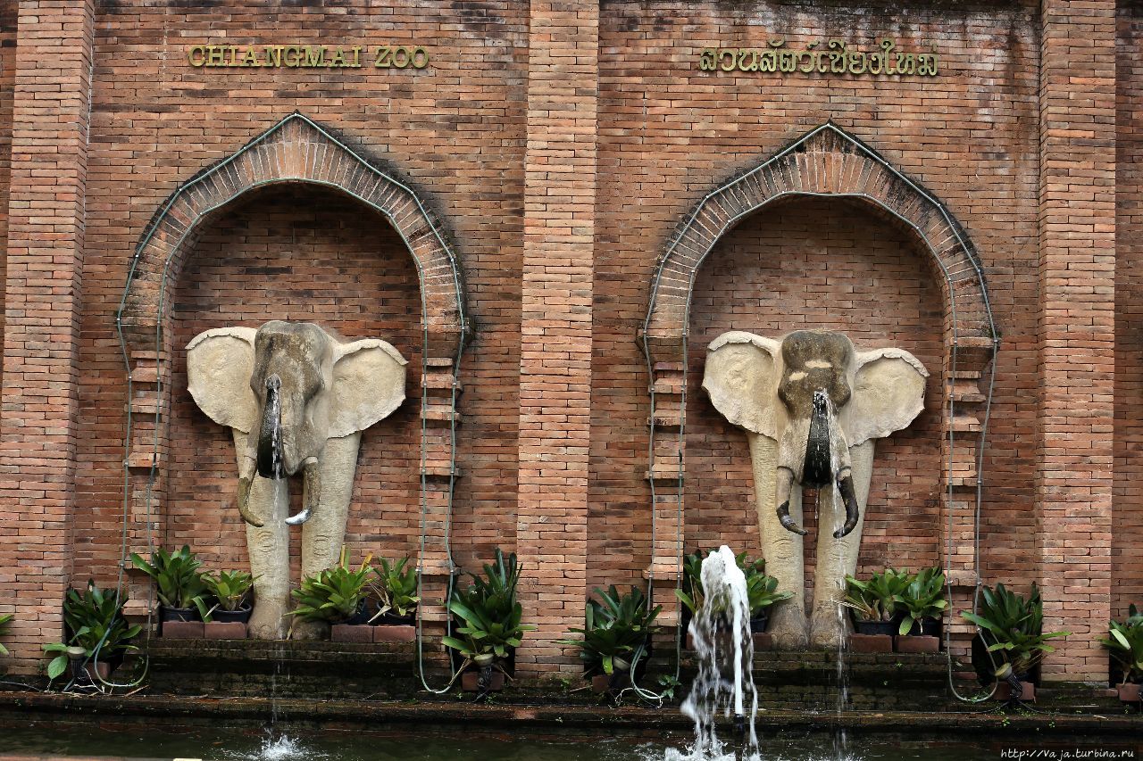 Зоопарк Чианг мая Чиангмай, Таиланд
