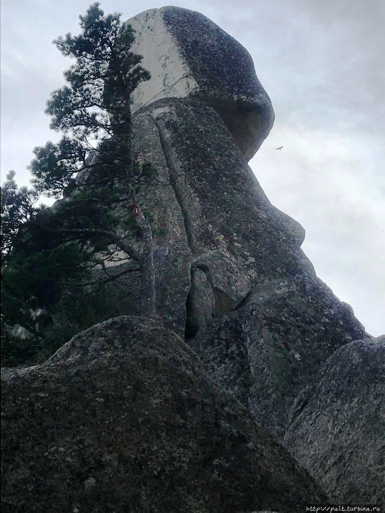 Просто впечатлил камушек наверху Чистоводное, Россия Просто впечатлил камушек наверху Чистоводное, Россия