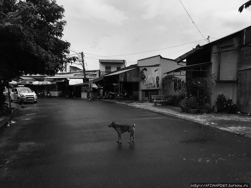 Чёрно-белый Вьетнам Остров Фу Куок, Вьетнам
