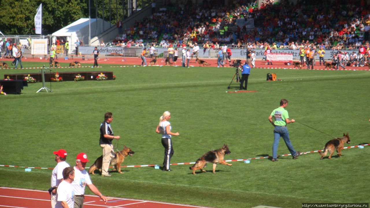 Зигер в Ульме Ульм, Германия Зигер в Ульме Ульм, Германия