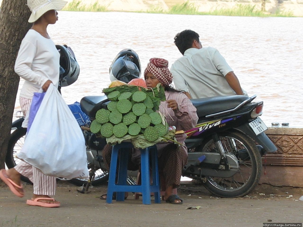 Бутоны лотоса Пномпень, Камбоджа