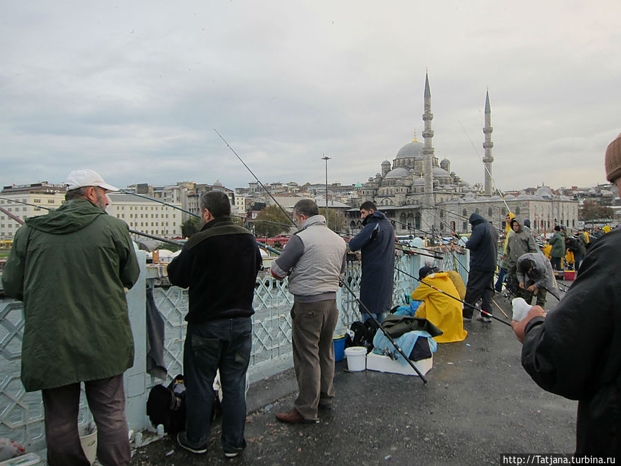 Быстрые зарисовки в Стамбуле Стамбул, Турция