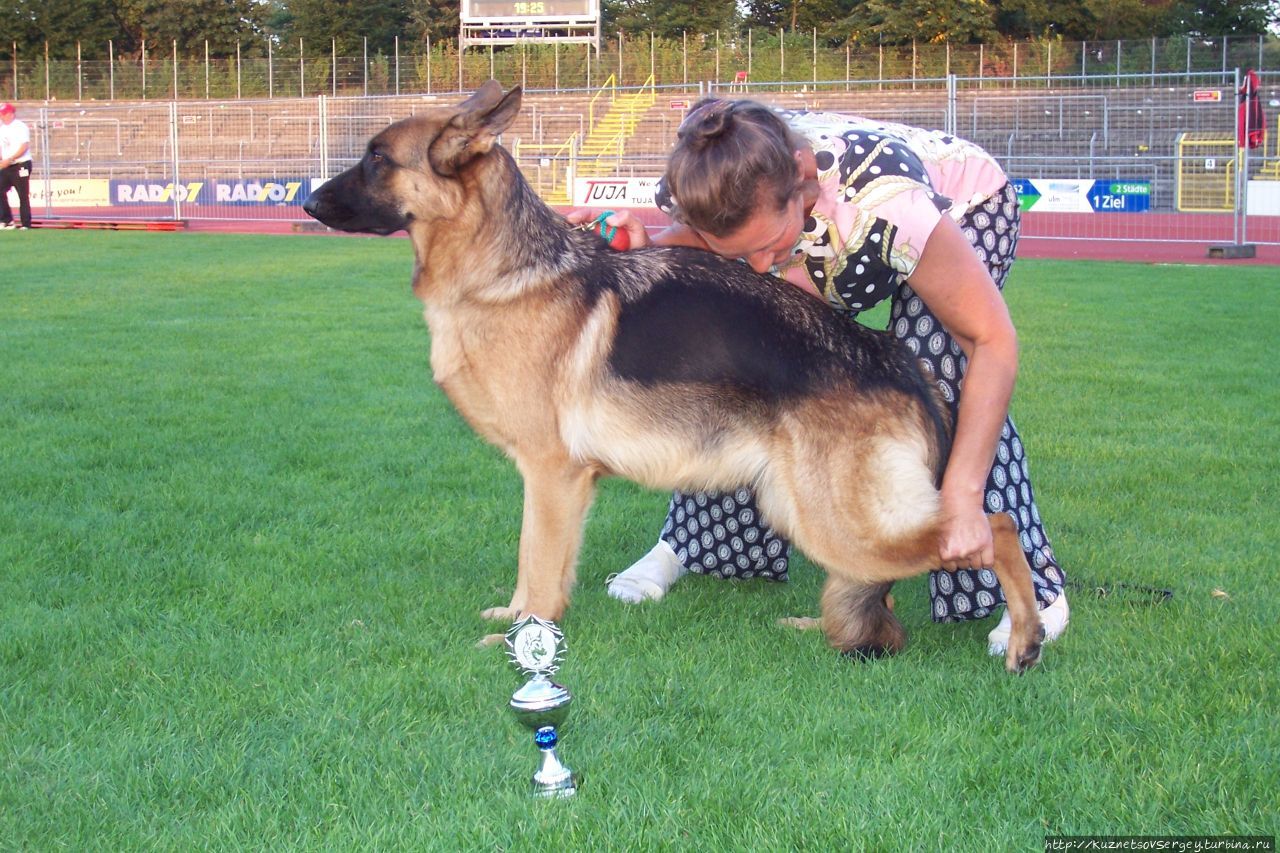 Снова Ульм, снова Зигер! Ульм, Германия