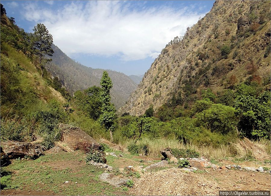 В национальном парке Лангтанг Лангтанг, Непал