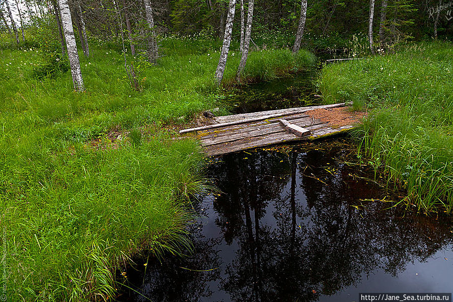 На Охотничьей заимке