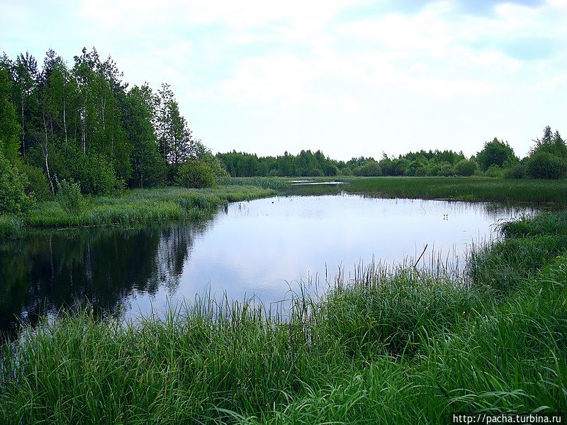 Беларусь фрагменты и зарисовки матушки природы Борисов, Беларусь