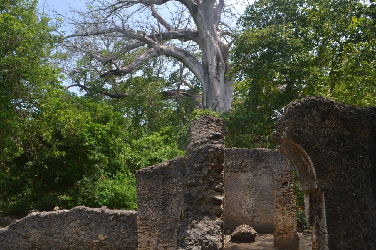 Руины Мнарани Килифи, Кения