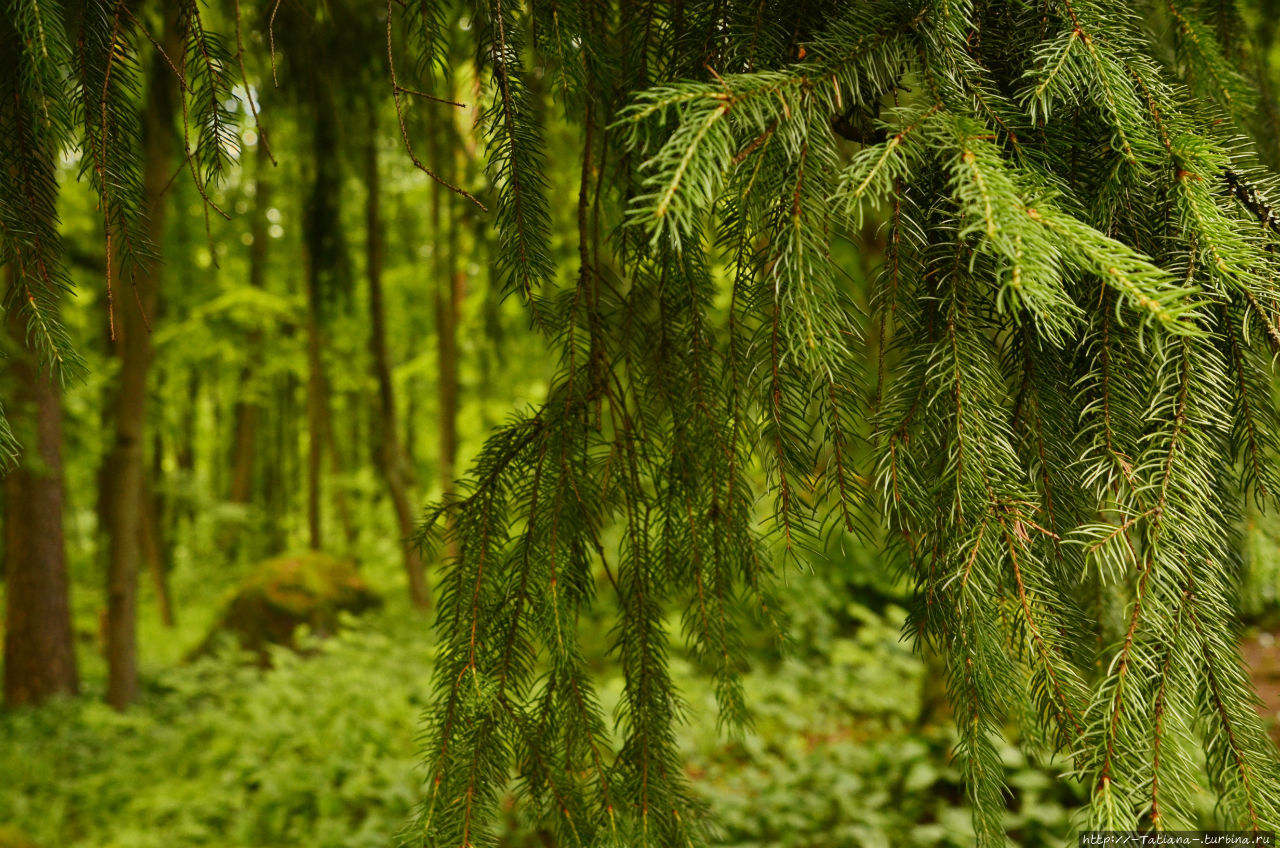 15 дождей и 2000 впечатлений 2015