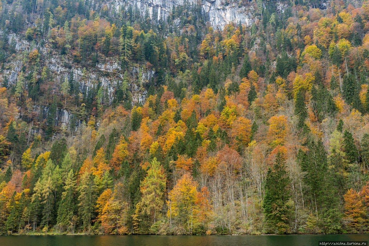 Кенигсзее, самое чистое озеро Европы Кёнигсзее, Германия