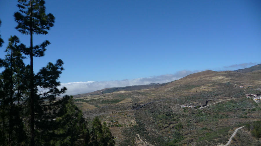 Гран-Канария — Национальный парк Тамадаба Канарские острова, Испания