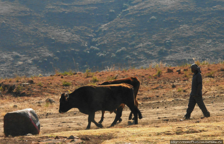 Басуто Лесото