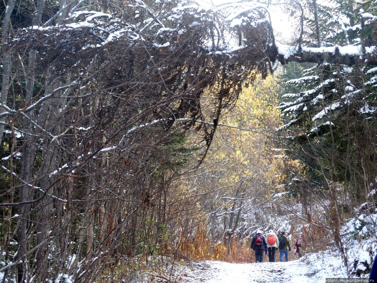 Гора  Быкова. Октябрь. Неожиданное свидание с зимой Березняки, Россия