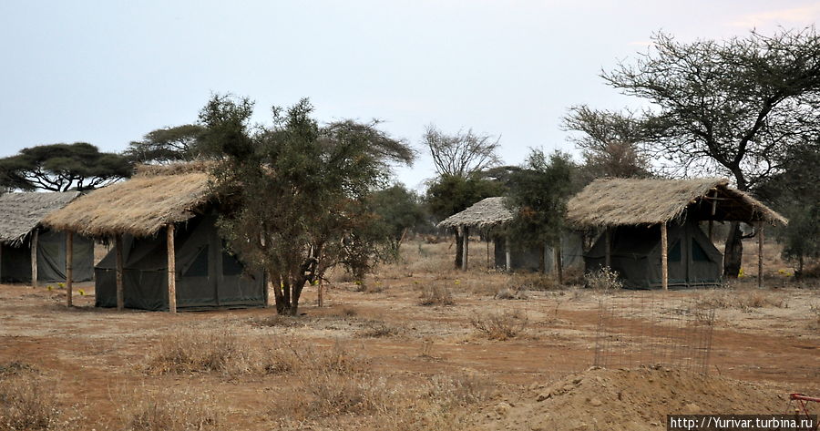 Кемпсайт KIMANA CAMP в Амбосели. Здесь мы были в августе 2010 г. Амбосели Национальный Парк, Кения