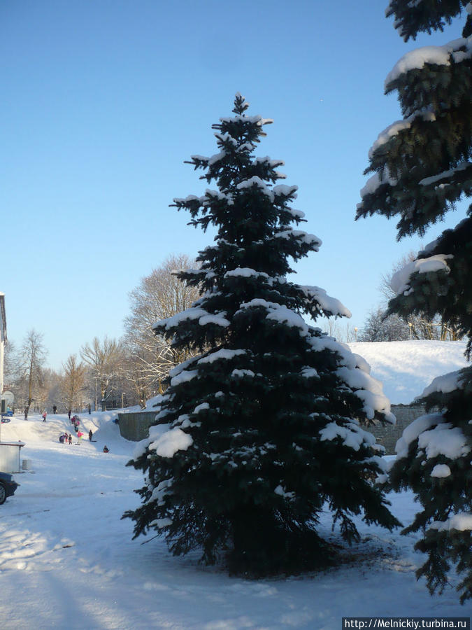 Прогулка по Нарве в зимний солнечный день