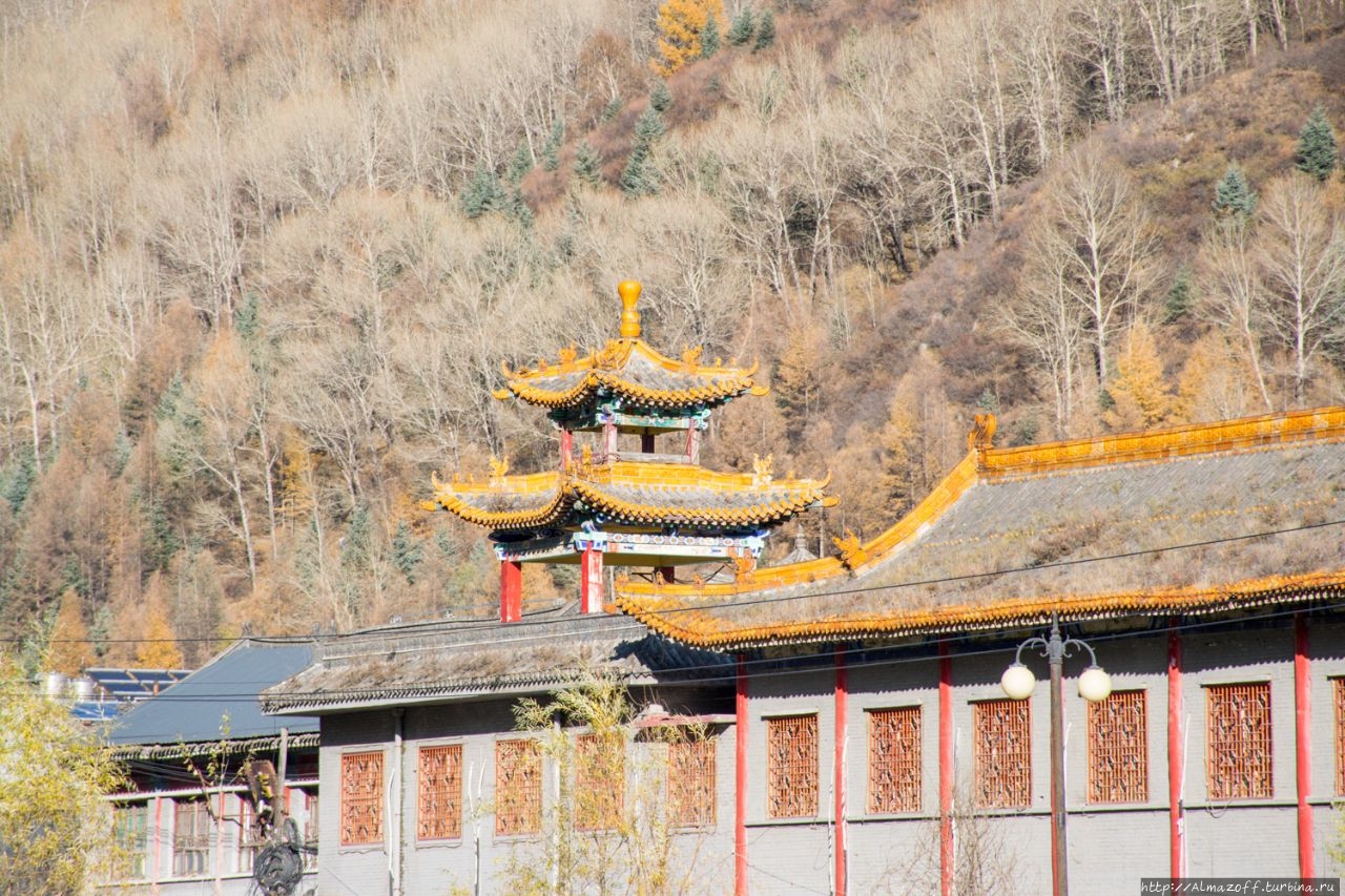 KFC Священная Гора Утайшань, Китай