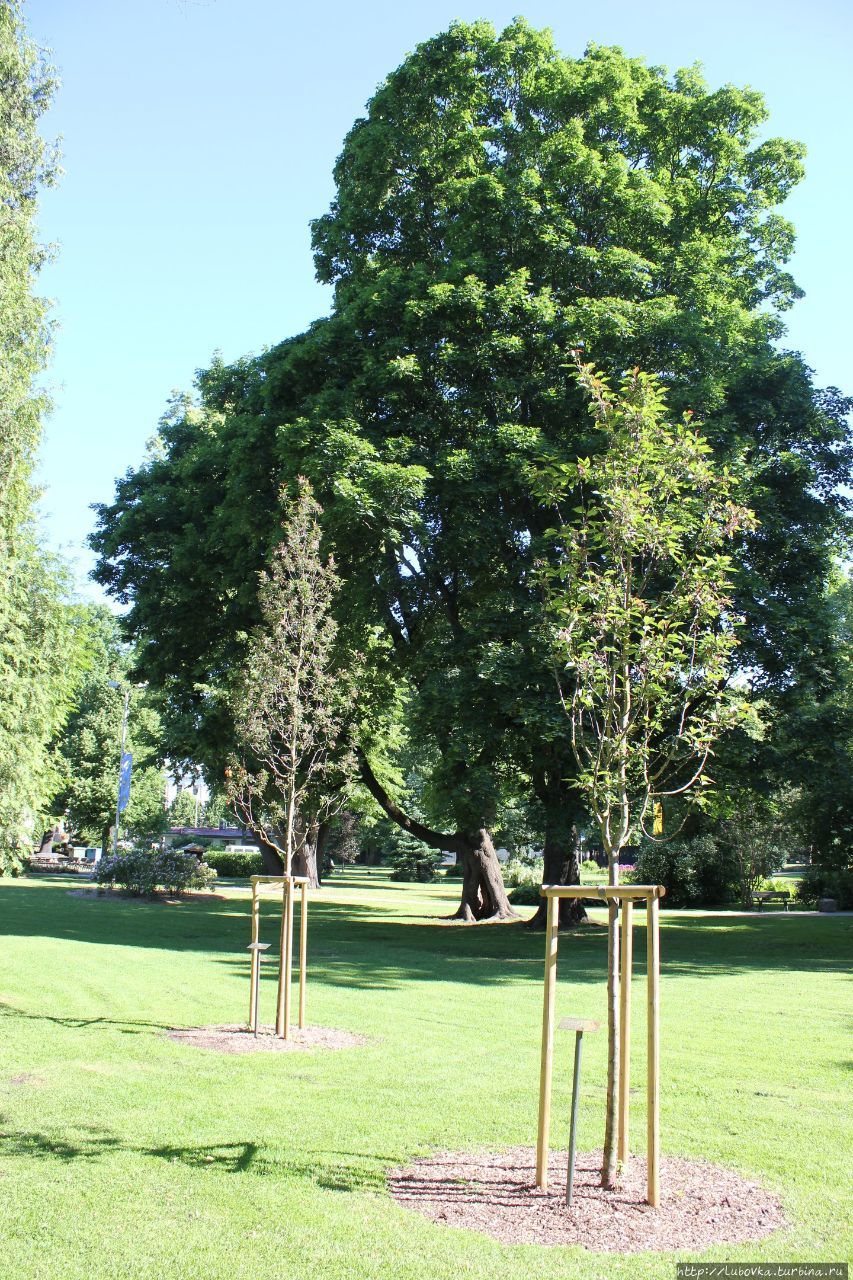 Зелёное сердце Риги Рига, Латвия