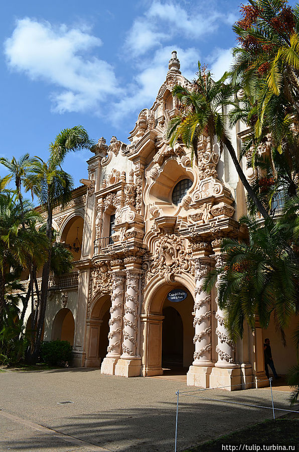 Выбор за вами Сан-Диего, CША