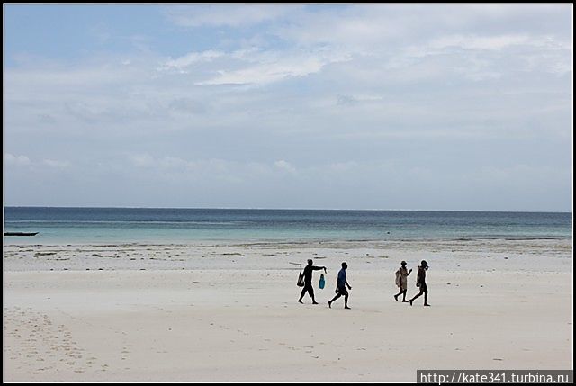 Открытие нового континента. Часть 6. Занзибар Остров Занзибар, Танзания