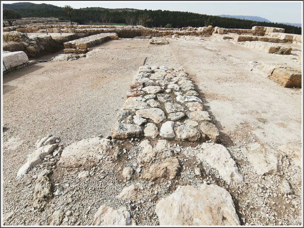 Тель-Мегиддо археологический парк Мегиддо, Израиль