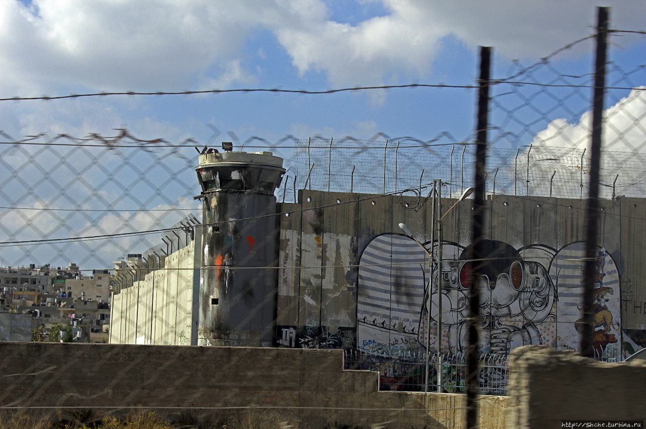 За стеной Вифлеем, Палестина