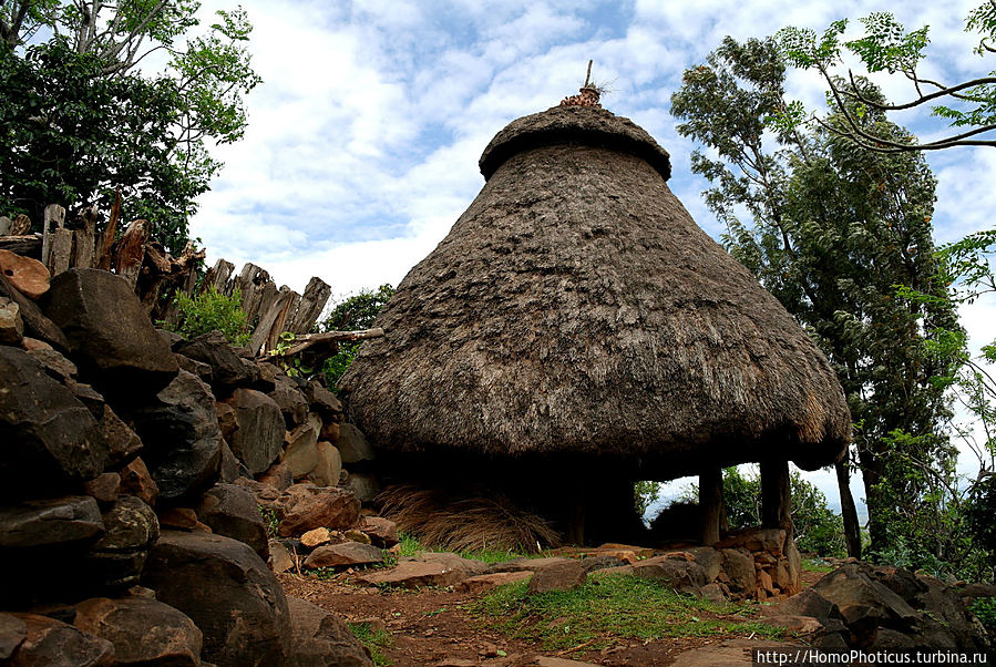 Этнография Эфиопии: деревня консо Консо, Эфиопия