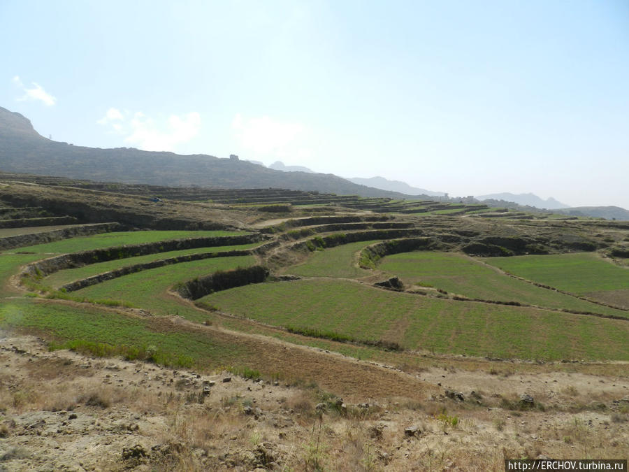 Однодневный треккинг в горах  Хараз Провинция Сана, Йемен