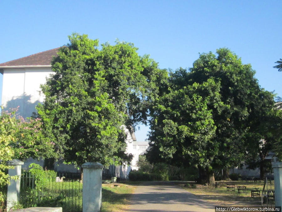 Университеты Янгона Янгон, Мьянма