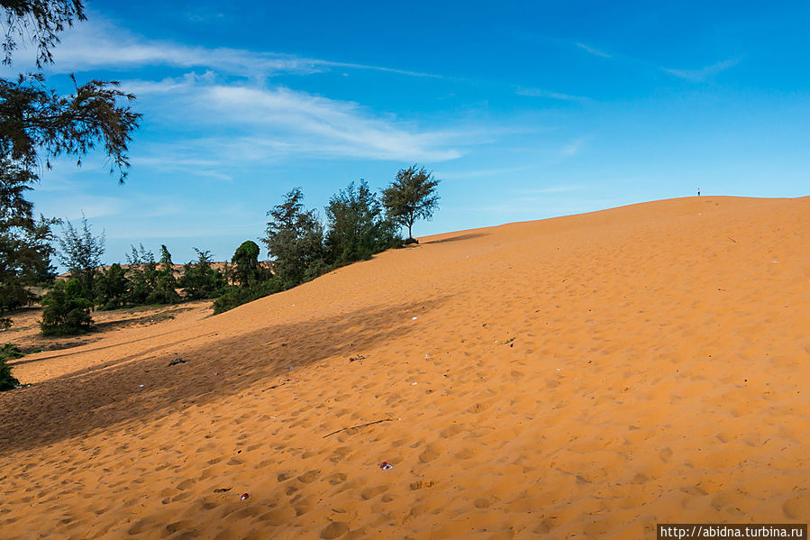 Красные дюны Муйне Муй-Не, Вьетнам