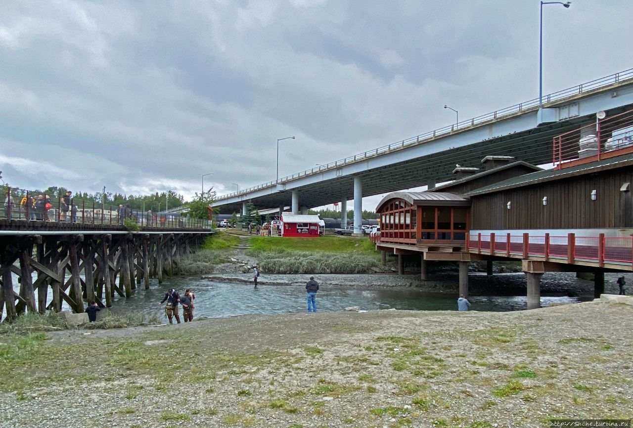 Мост / The Bridge