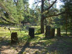 Старинное кладбище у деревни Сууркюля