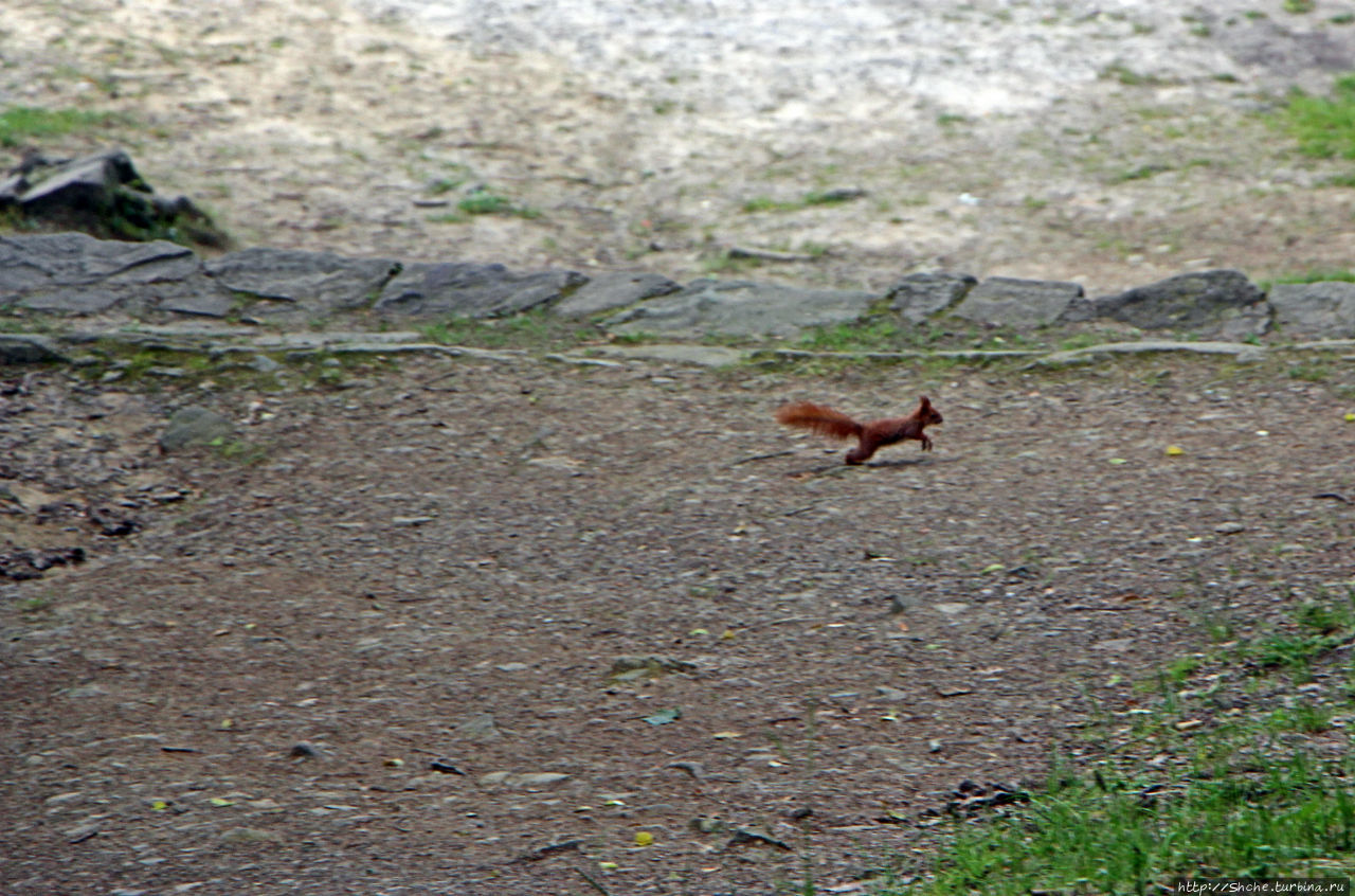 Пройти по Их пути Кальвария-Зебжидовска, Польша