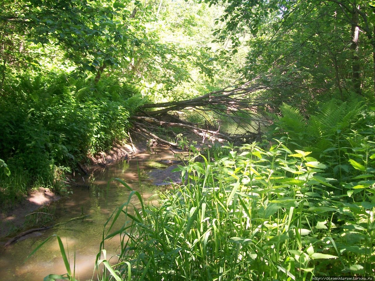 лигатне (станция). походы и ленты святами. пешком по природ песня. пешком по родникам. пешком по родникам.