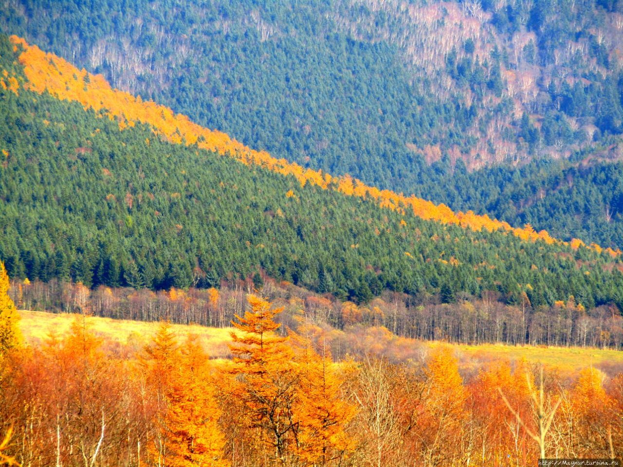 Осенние этюды Долинск, Россия