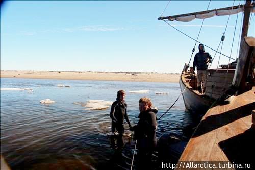 Вот такие вот морские глу