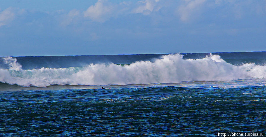 Бьют волны, а мне прикольно... Северное побережье Оаху Кауэла-Бэй, остров Оаху, CША