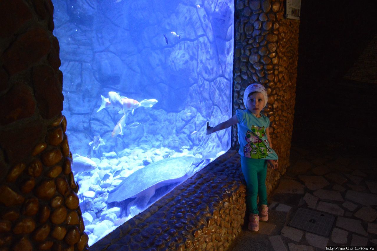 Гранд аквариум Хургада. Океанариум в Хургаде фото. Гранд аквариум в Хургаде стоимость. Гранд аквариум Хургада цены. Океанариум хургада