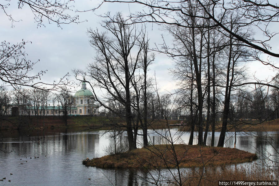 Пролетая над гнездом... Ломоносов, Россия