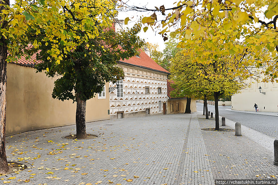 Удивительно колоритное сочетание осенних листьев и брусчатки. Прага, Чехия